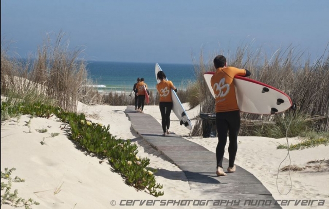 Viaggi surf